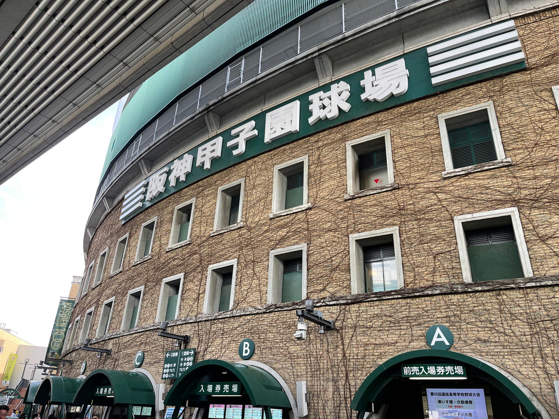 22年ぶりのセンバツ勝利で大健闘した東北高校　～次なる目標に向かって～